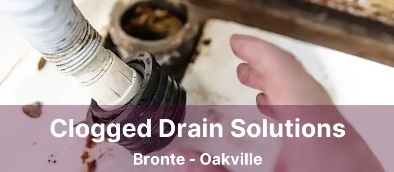  Clogged Drain Solutions Bronte - Oakville