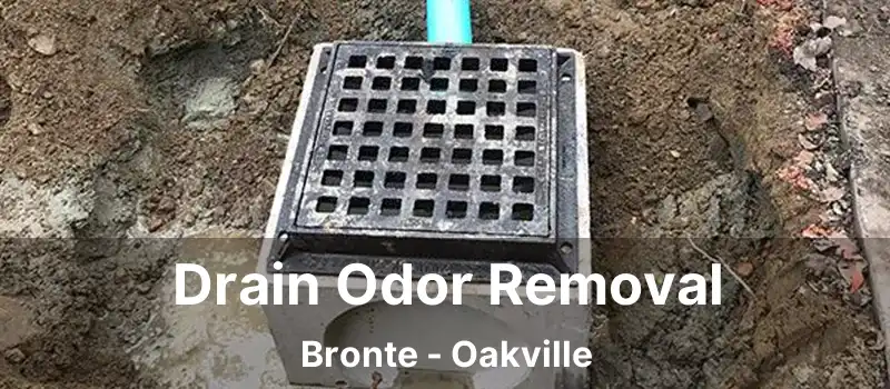  Drain Odor Removal Bronte - Oakville