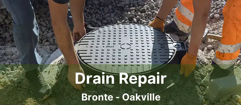  Drain Repair Bronte - Oakville
