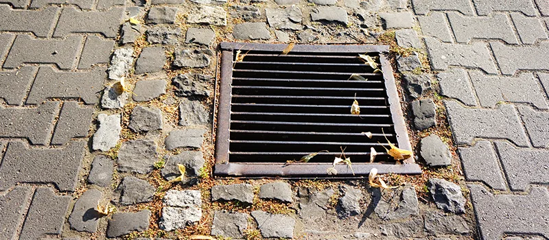 Catch Basin Installation and Maintenance in Bronte, Oakville